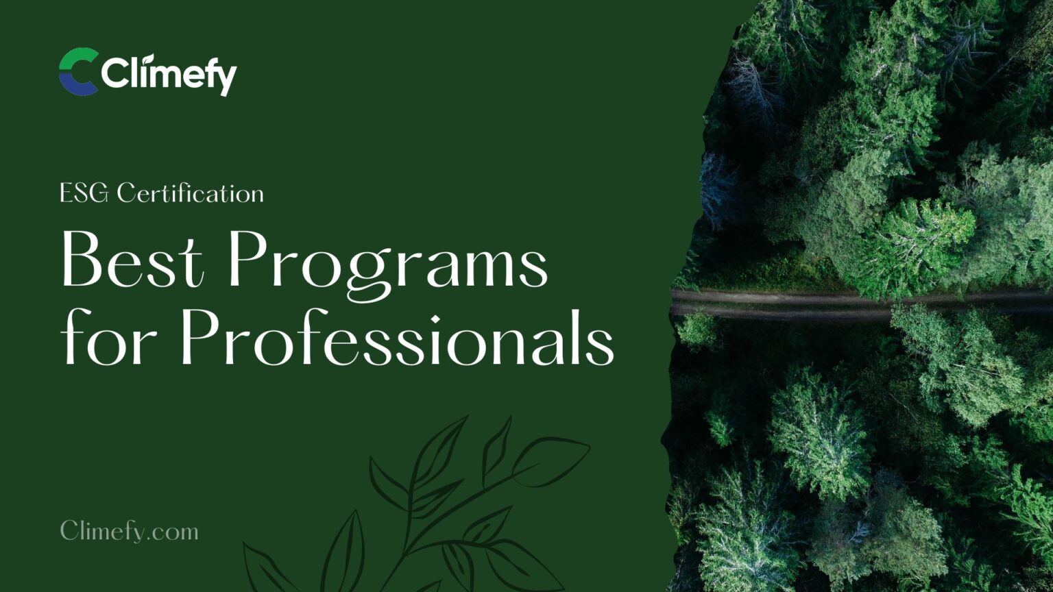 ESG Certification Guide: Best Programs For Professionals | Climefy