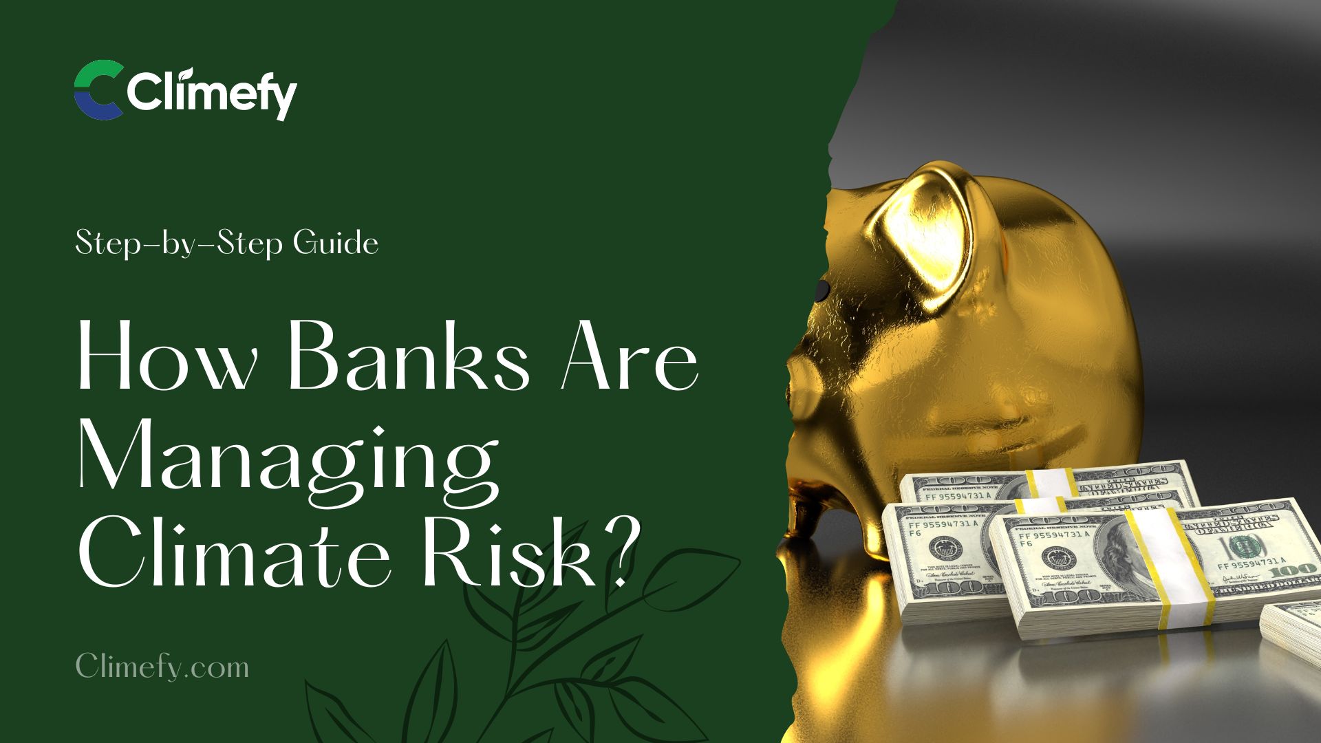 How-Banks-Are-Managing-Climate-Risk-Ultimate-Guide