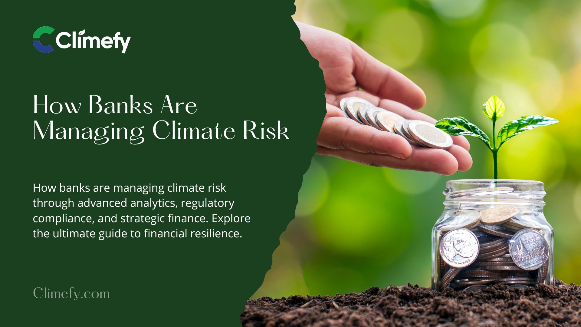 Climate Risk Banking How Banks Are Managing Climate Risk? Ultimate Guide