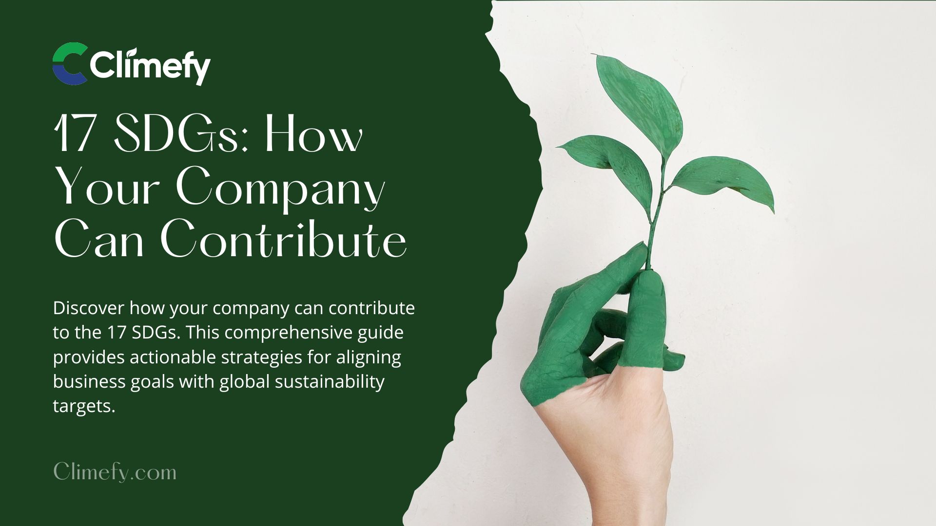17-SDGs-How-Your-Company-Can-Contribute-Ultimate-Guide