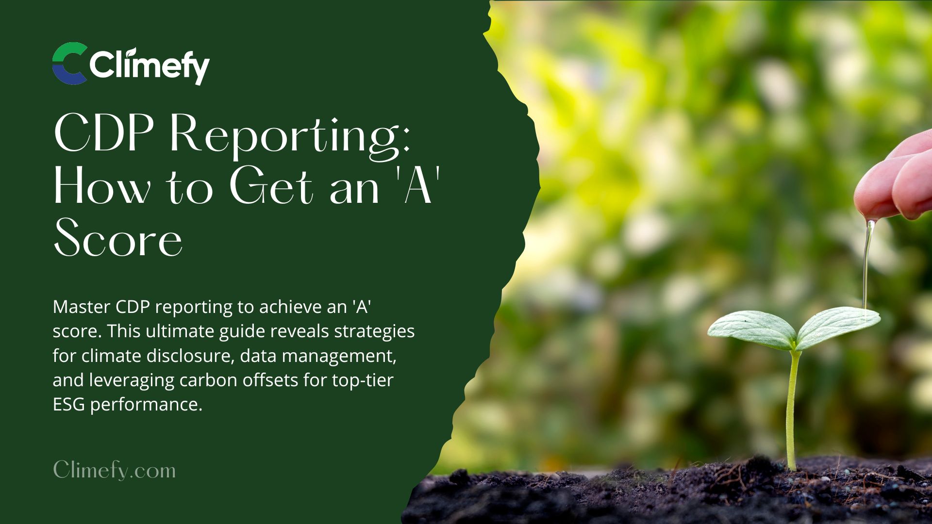 CDP Reporting: How To Get An 'A' Score | Climefy