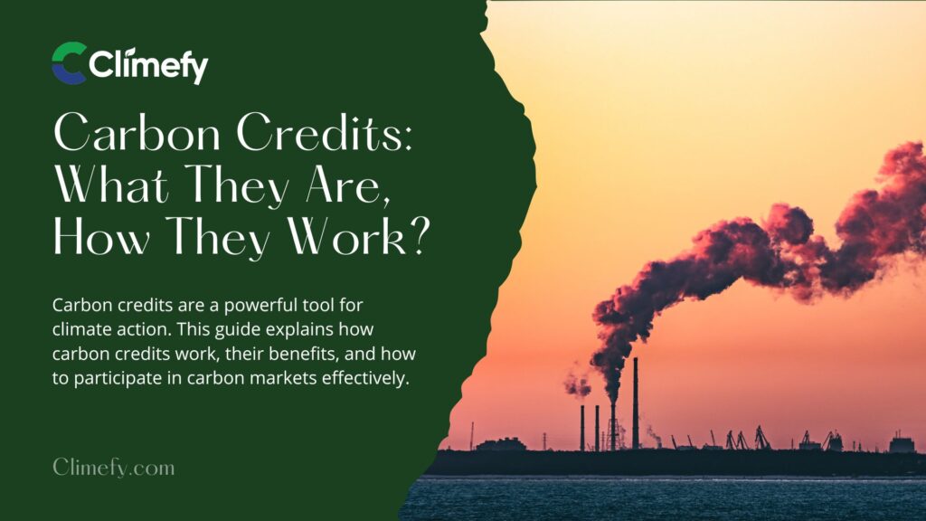 Carbon Credits: What They Are, How They Work? 1 Carbon-Credits-What-They-Are-&-How-They-Work