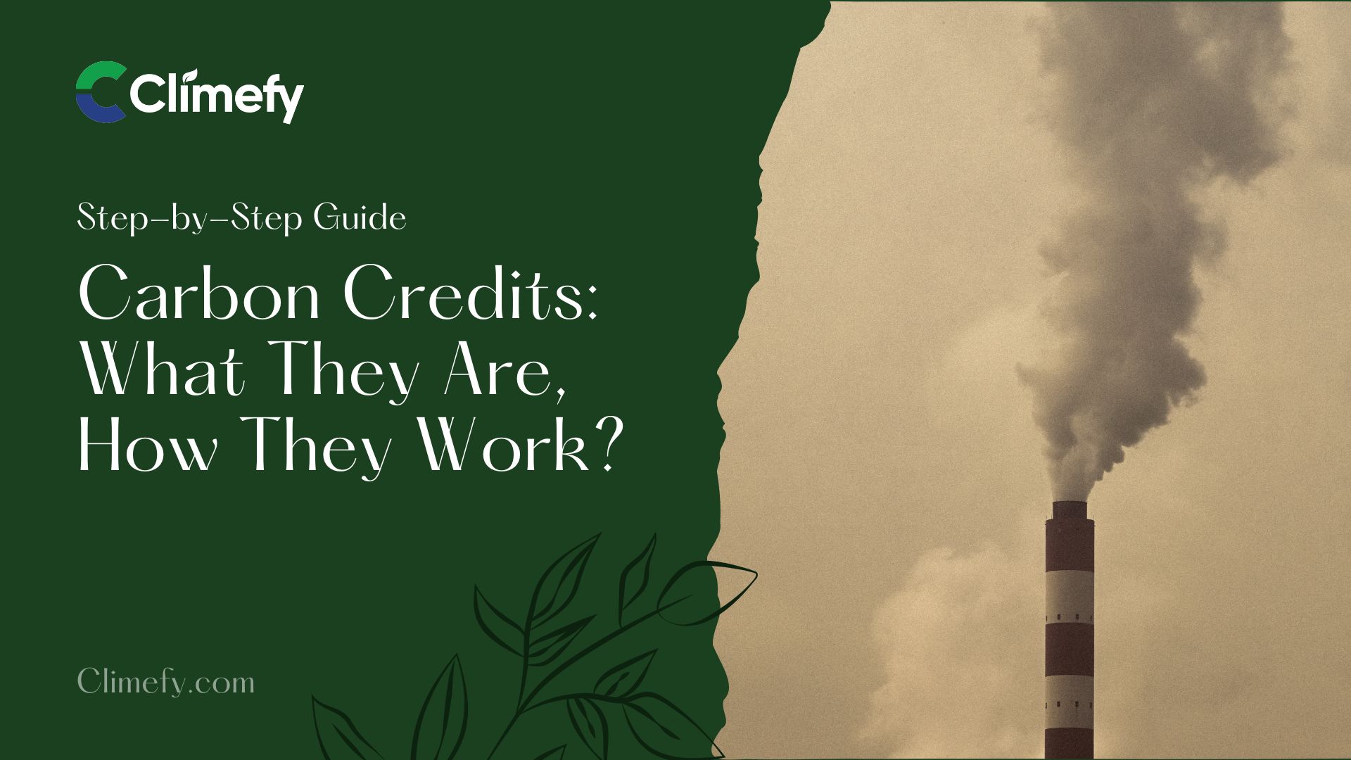 Carbon-Credits-What-They-Are-and-How-They-Work