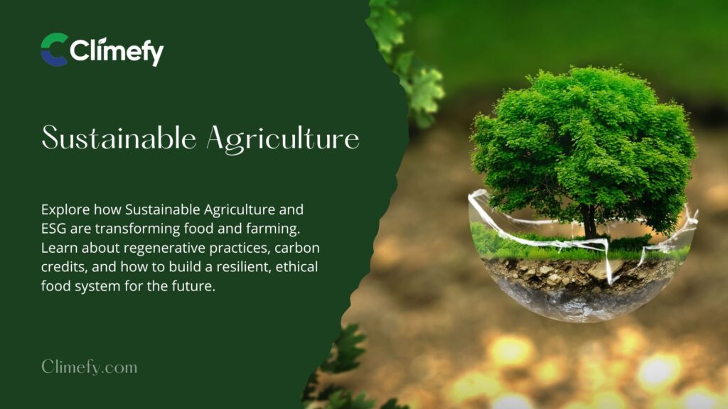 Sustainable Agriculture: How ESG is Reshaping Food and Farming 1 Sustainable-Agriculture-How-ESG-is-Reshaping-Food-&-Farming