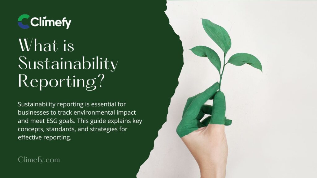 What-is-Sustainability-Reporting-A-Guide-for-Businesses-&-Professionals