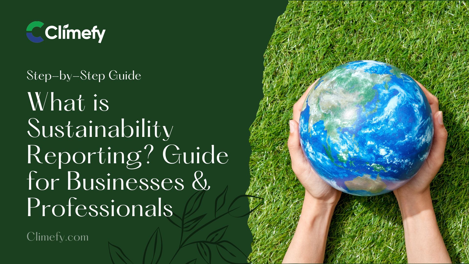 What-is-Sustainability-Reporting-Guide-for-Businesses-&-Professionals