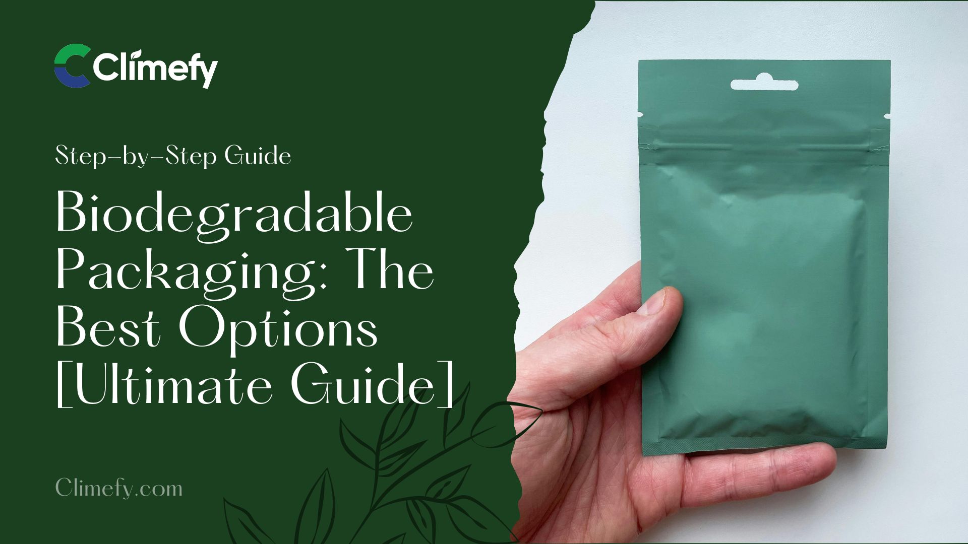 Biodegradable-Packaging-The-Best-Options