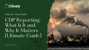 CDP-Reporting-What-Is-It-and-Why-It-Matters-Ultimate-Guide