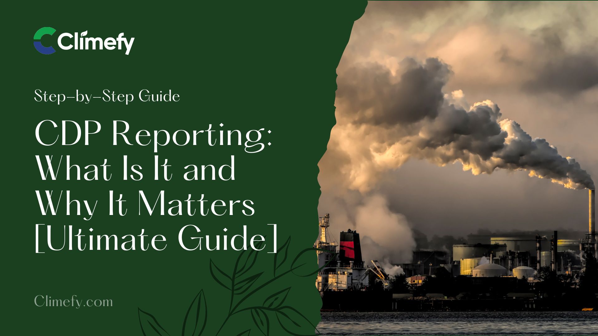 CDP-Reporting-What-Is-It-and-Why-It-Matters-Ultimate-Guide