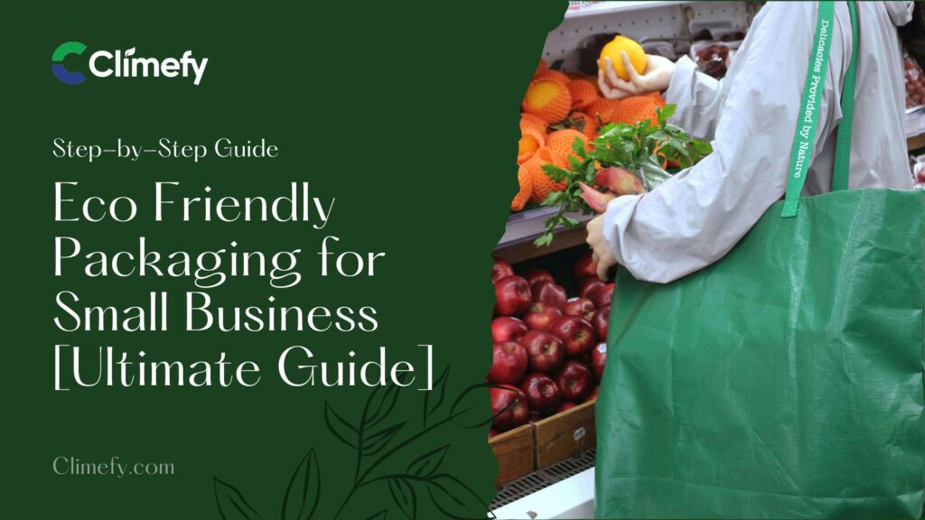 Eco Friendly Packaging For Small Business [Ultimate Guide]