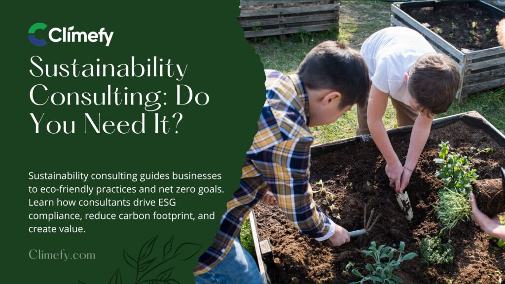 Sustainability Consulting: Do You Need It? 1 Sustainability-Consulting-Do-You-Need-It-Ultimate-Guide