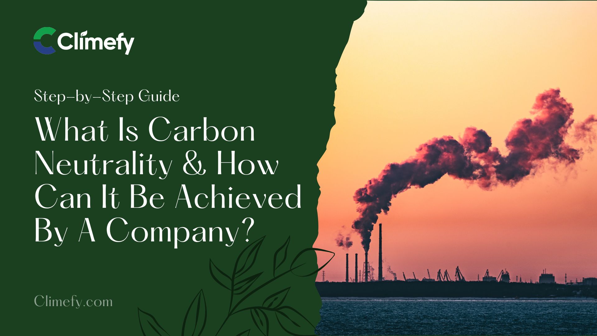 What Is Carbon Neutrality & How Can It Be Achieved?