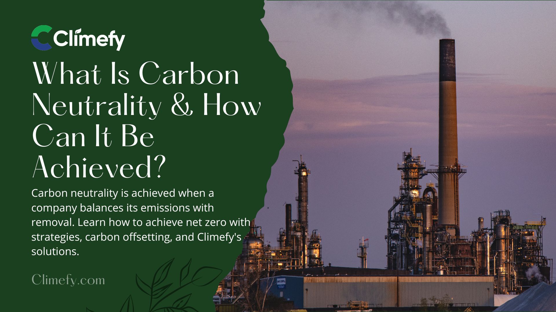 What-Is-Carbon-Neutrality-and-How-Can-It-Be-Achieved-By-A-Company