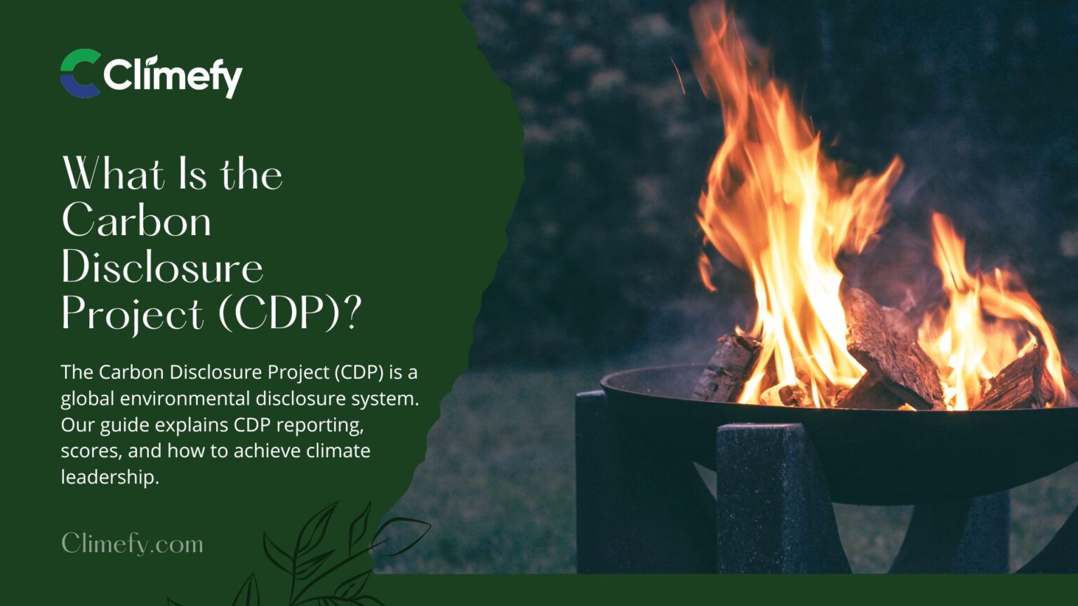 What Is The Carbon Disclosure Project (CDP) [Ultimate Guide]