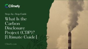 What-Is-the-Carbon-Disclosure-Project-Ultimate-Guide