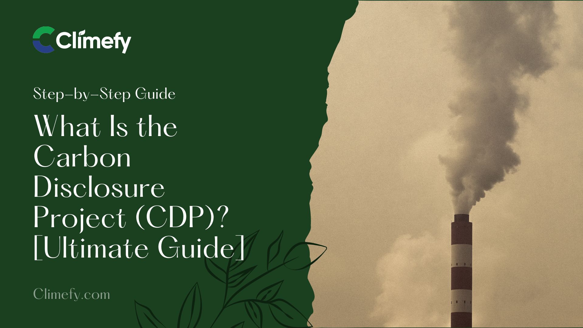 What-Is-the-Carbon-Disclosure-Project-Ultimate-Guide