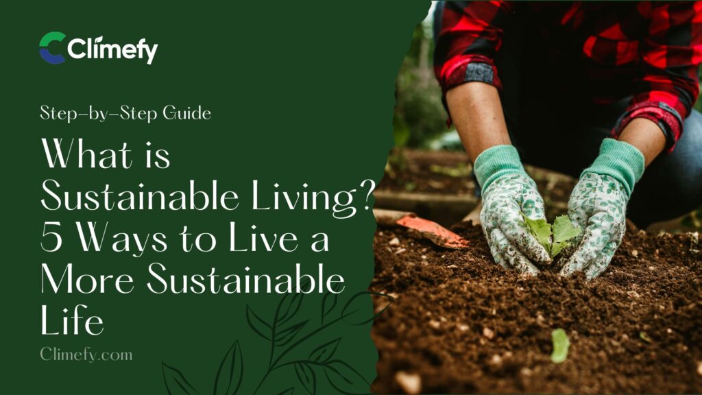 What Is Sustainable Living? 5 Ways To Live Sustainable Life