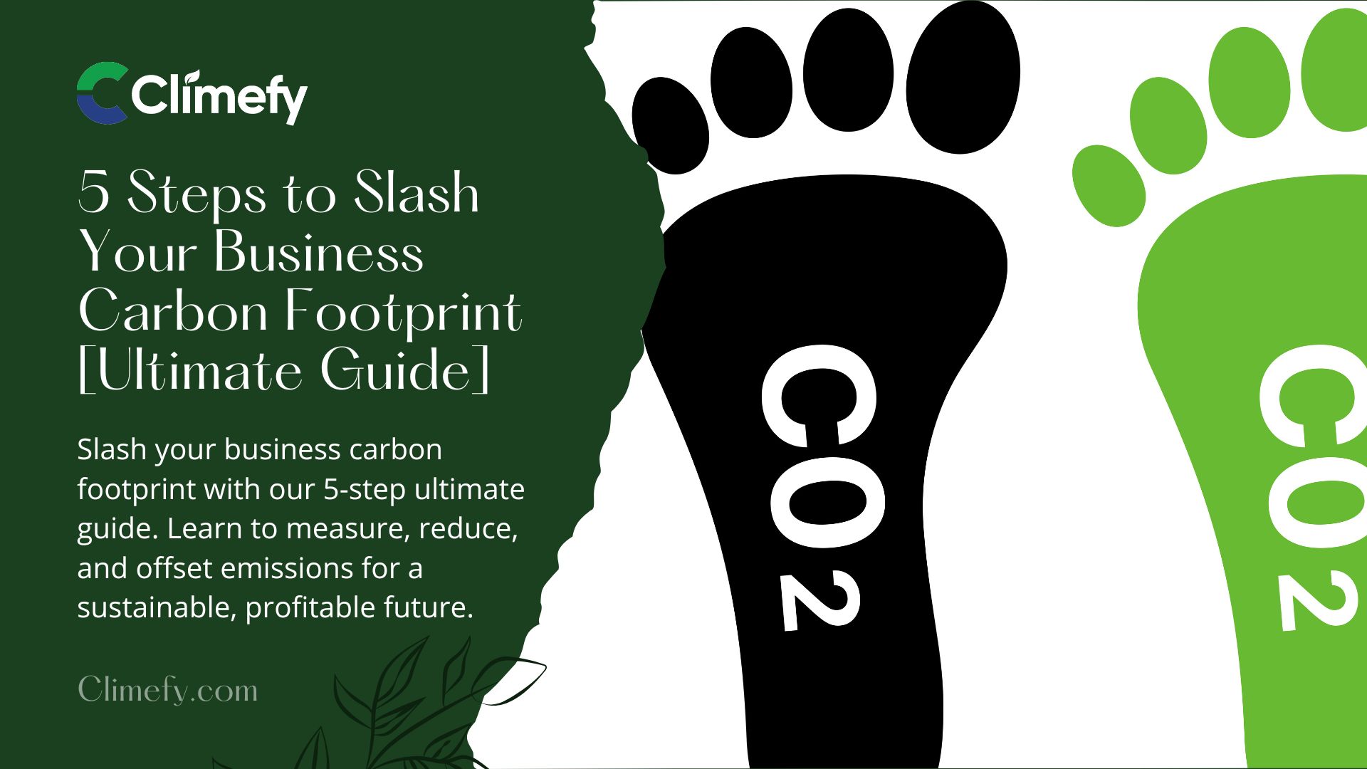 5 Steps To Slash Your Business Carbon Footprint [Guide]