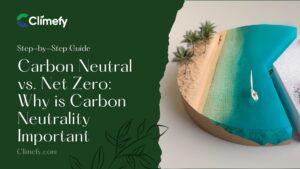 Carbon-Neutral-vs.-Net-Zero-Why-is-Carbon-Neutrality-Important