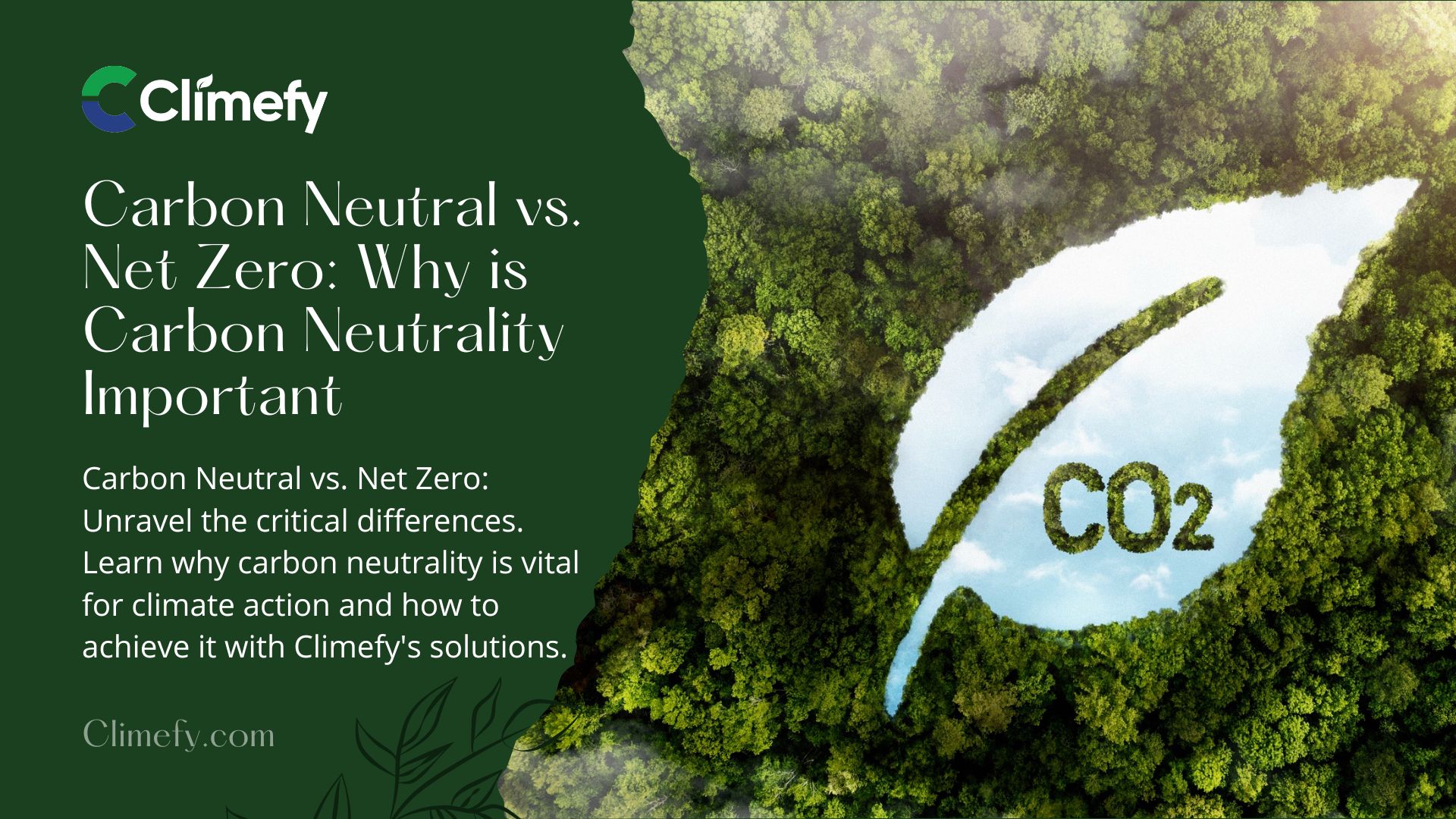 Carbon Neutral Vs. Net Zero: Why Is Neutrality Important