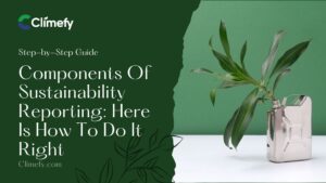 Components-Of-Sustainability-Reporting-Here-Is-How-To-Do-It-Right