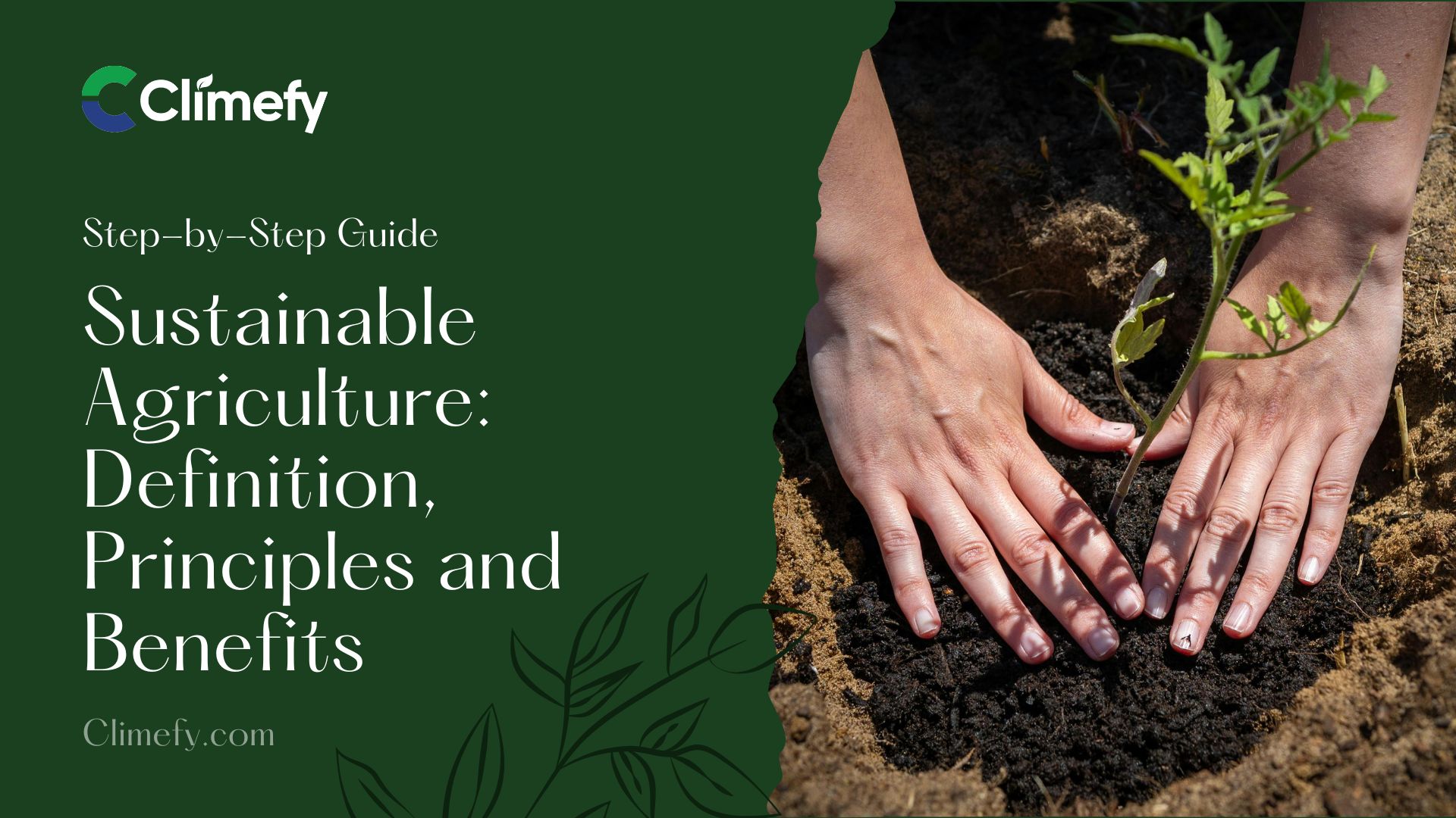 Sustainable-Agriculture-Definition-Principles-and-Benefits