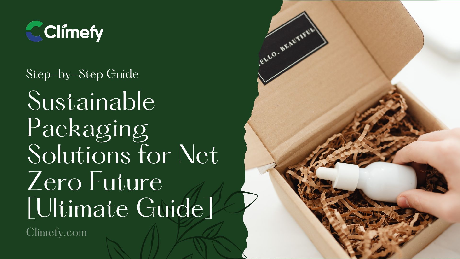 Sustainable-Packaging-Solutions-for-Net-Zero-Future