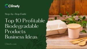 Top-10-Profitable-Biodegradable-Products-Business-Ideas