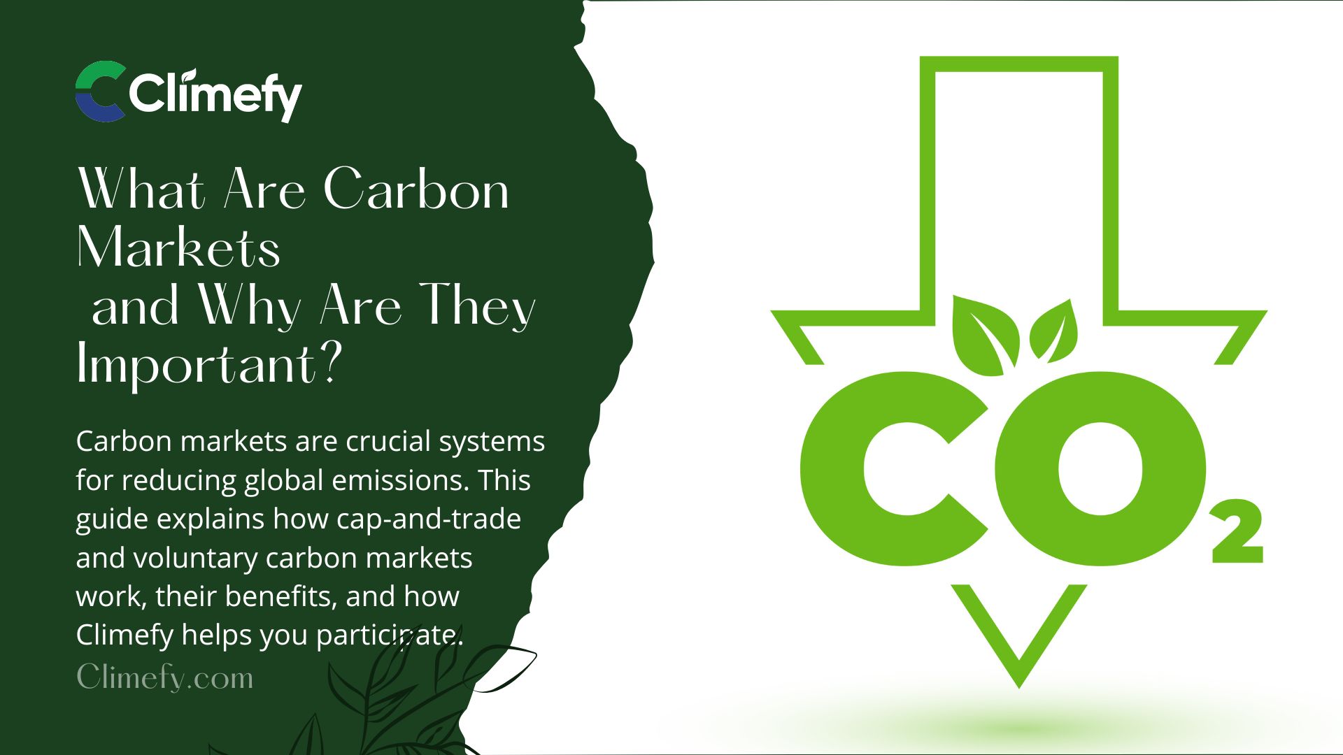 What -Are-Carbon-Markets-&-Why-Are-They-Important