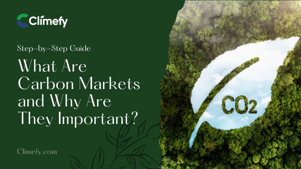 What -Are-Carbon-Markets-and-Why-Are-They-Important