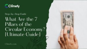 What-Are-the-7-Pillars-of-the-Circular-Economy