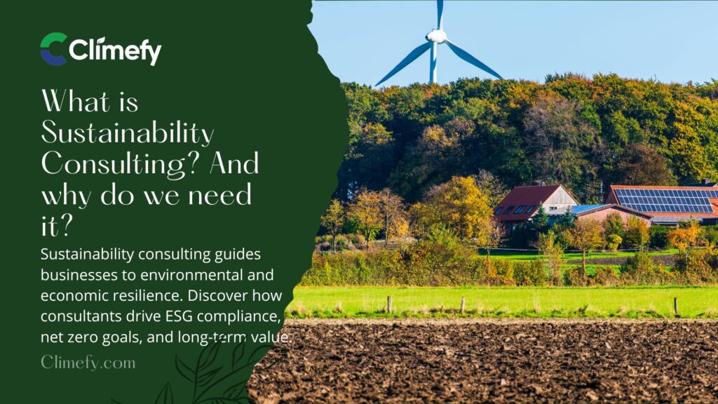 What-is-Sustainability-Consulting-&-why-do-we-need-it