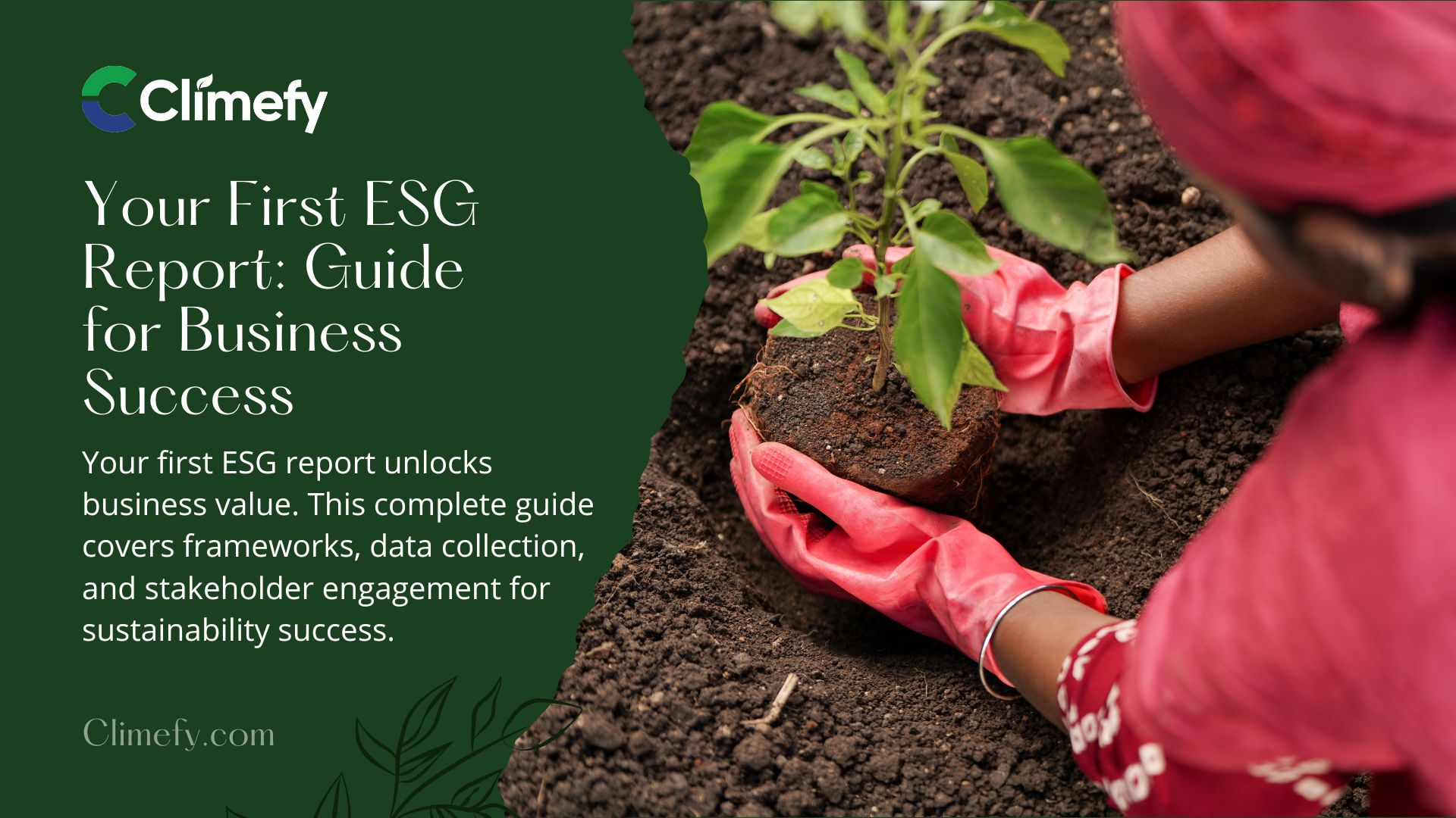 Your First ESG Report: A Complete Guide For Business Success