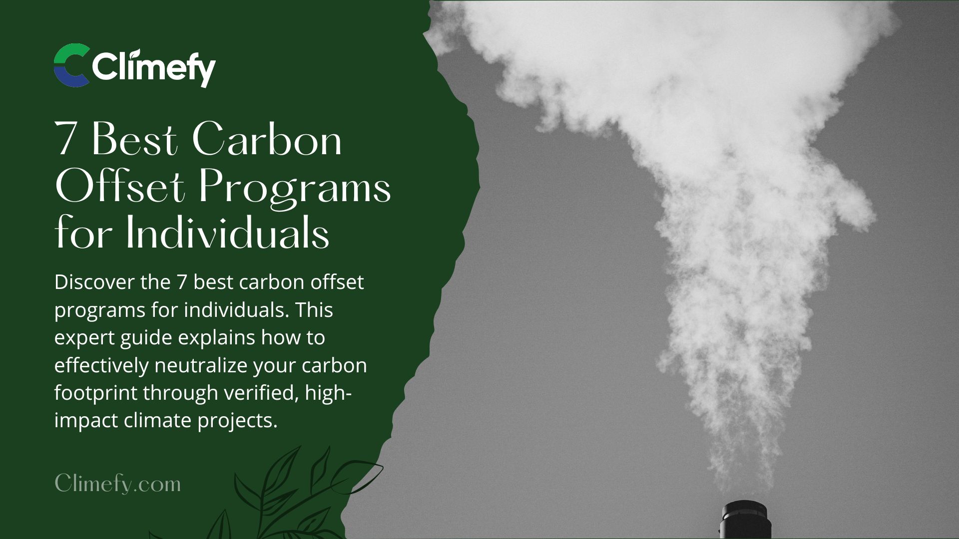 7 Best Carbon Offset Programs For Individuals | Climefy