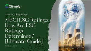 MSCI-ESG-Ratings-How-Are-ESG-Ratings-Determined
