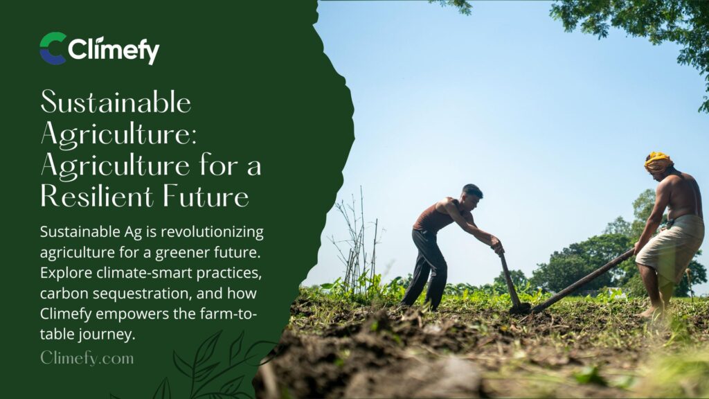 Sustainable Agriculture: Revolutionizing Agriculture for a Resilient Future 1 Sustainable-Agriculture-Revolutionizing-Agriculture-for-Resilient-Future