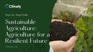 Sustainable-Agriculture-Revolutionizing-Agriculture-for-a-Resilient-Future