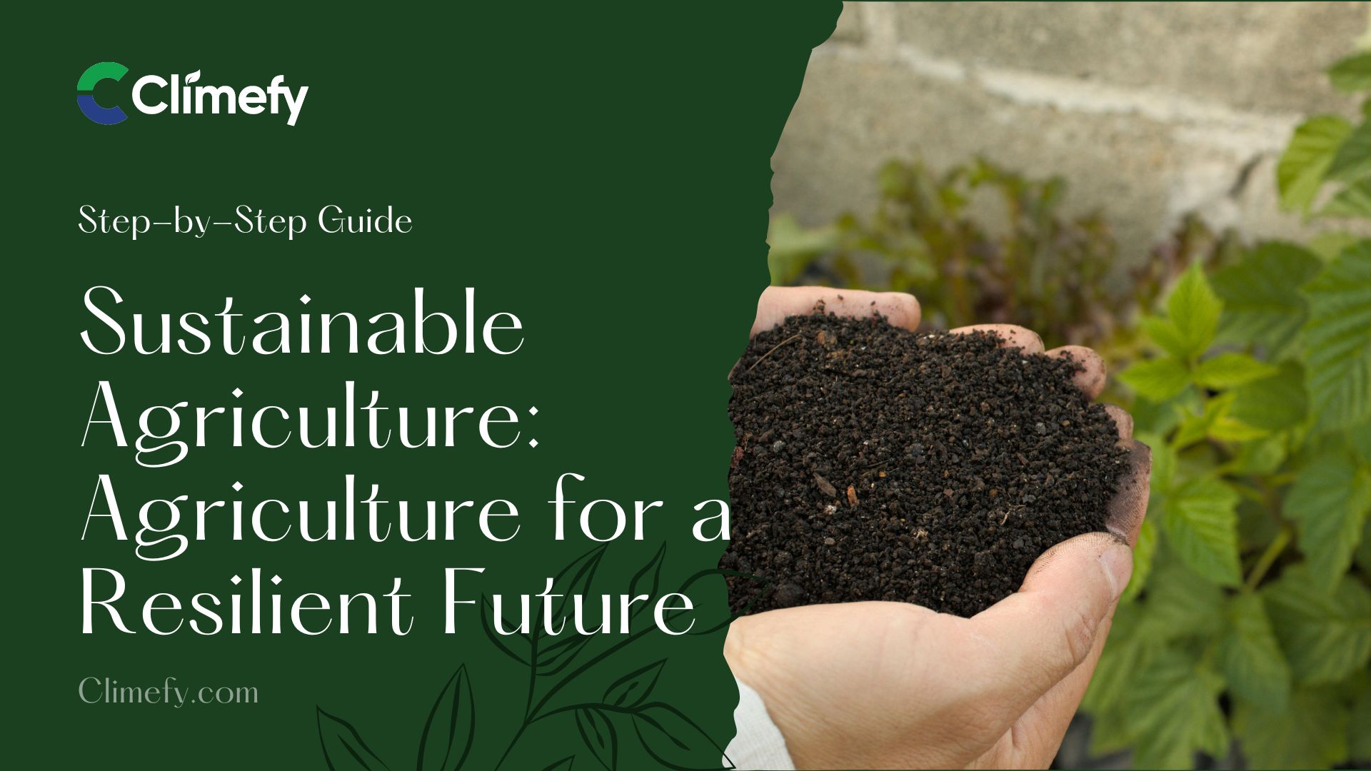 Sustainable-Agriculture-Revolutionizing-Agriculture-for-a-Resilient-Future