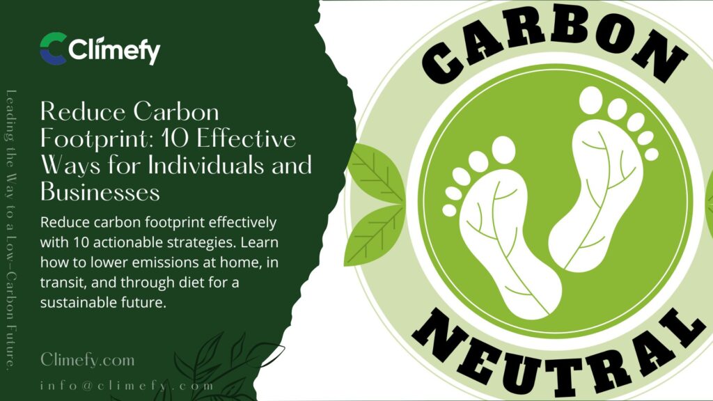 Reduce-Carbon-Footprint-10-Effective-Ways-for-Individuals-&-Businesses