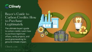 Buyer Guide to Carbon Credits How to Purchase Legitimately