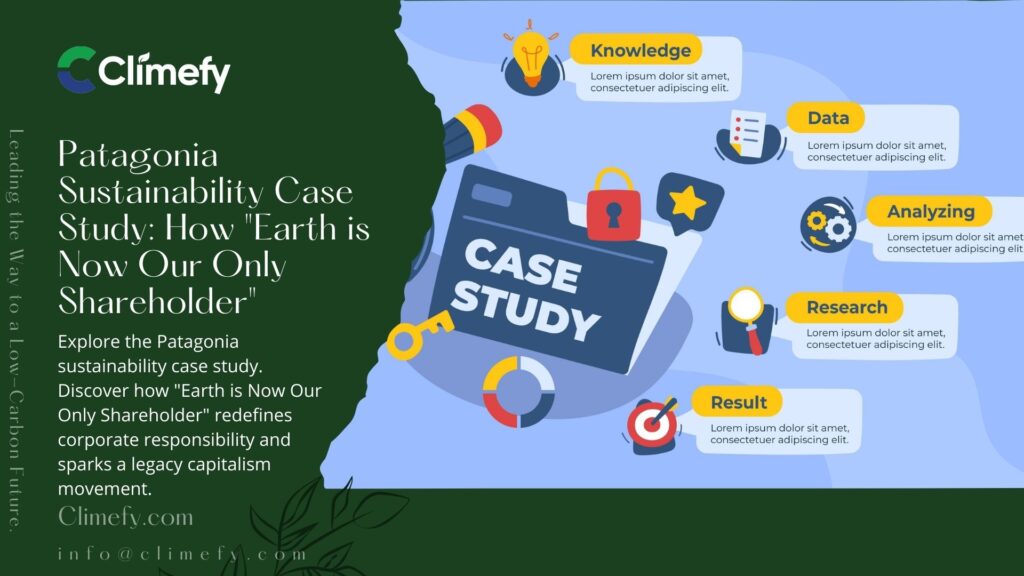 Patagonia Sustainability Case Study How Earth is Now Our Only Shareholder