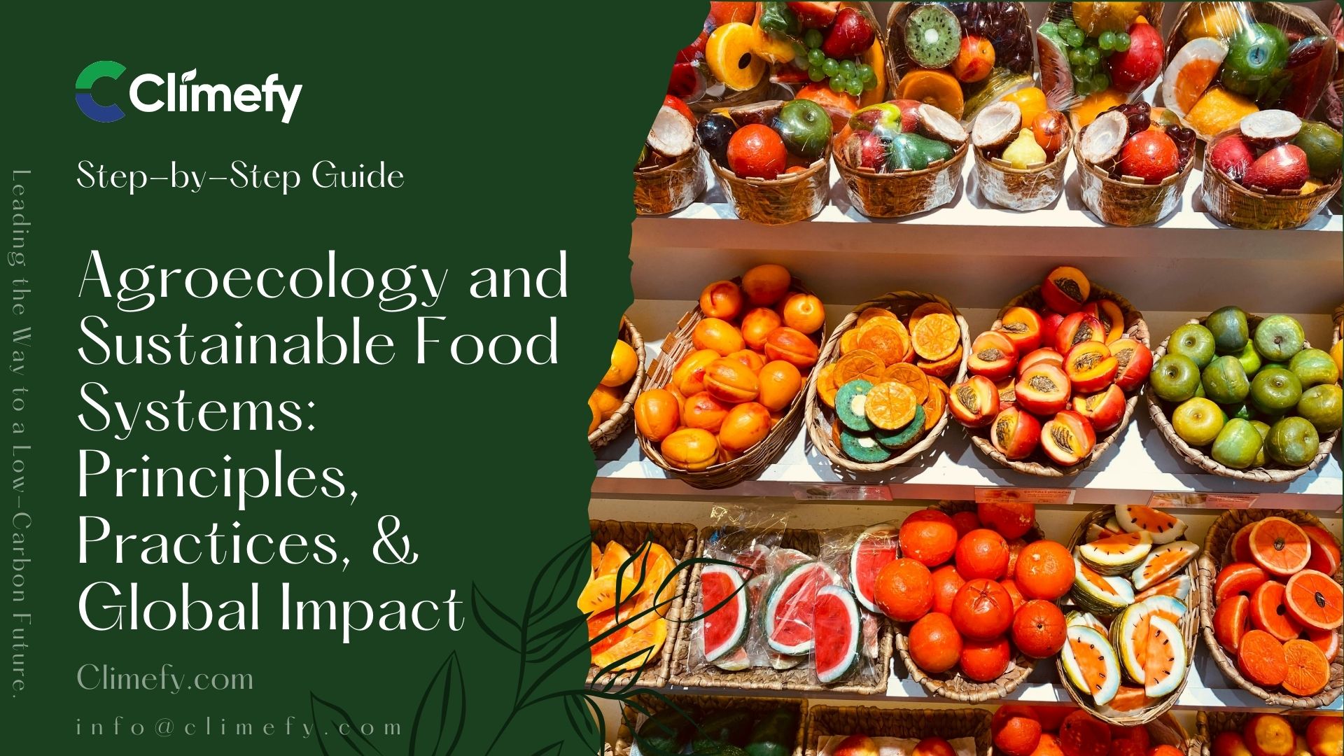 Agroecology and Sustainable Food Systems Principles, Practices, & Global Impact