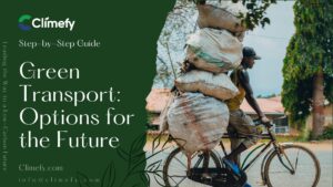 Green Transport Options for the Future