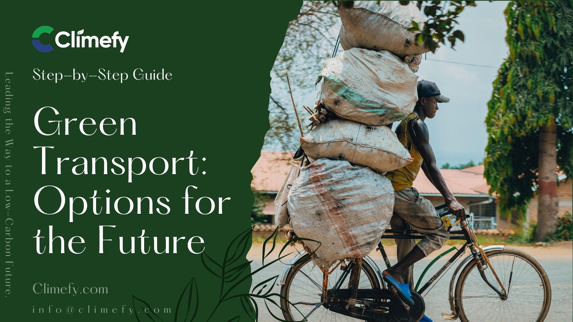 Green Transport Options for the Future