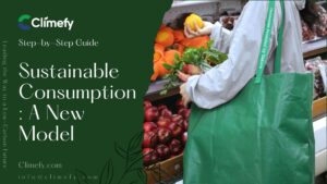 Sustainable Consumption A New Model