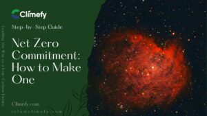 Net Zero Commitment How to Make One