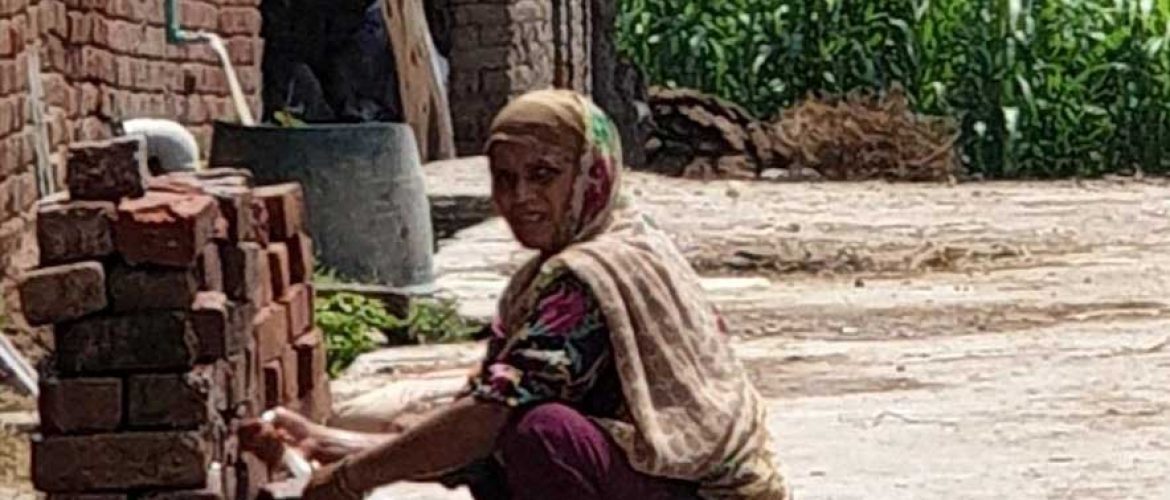 Sustainable-afforestation-project-in-Pakistan--6